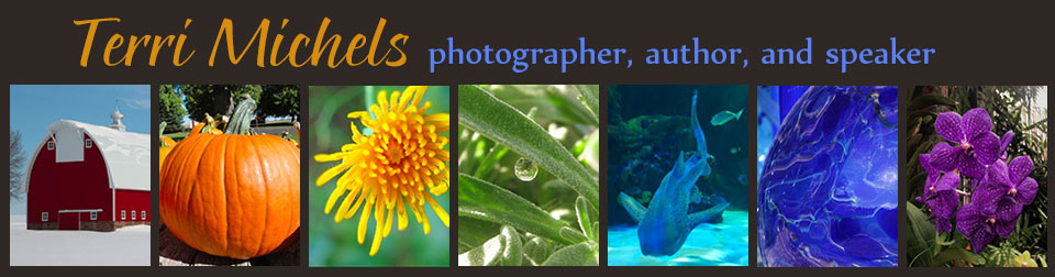 Terri Michels photographer author speaker